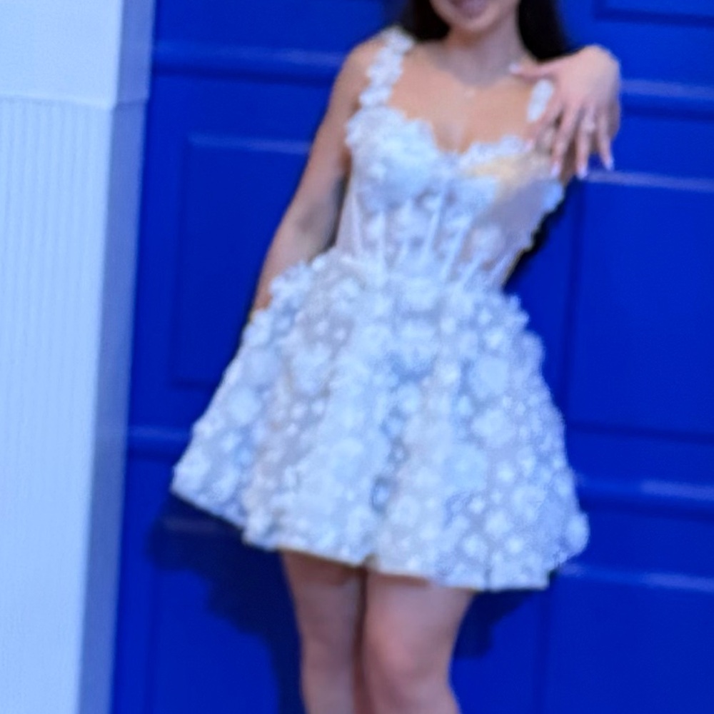 Primrose Mini Dress - Picture 2 of 3